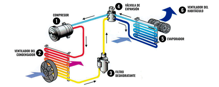 Limpieza Circuito del Aire Acondicionado Wynn's